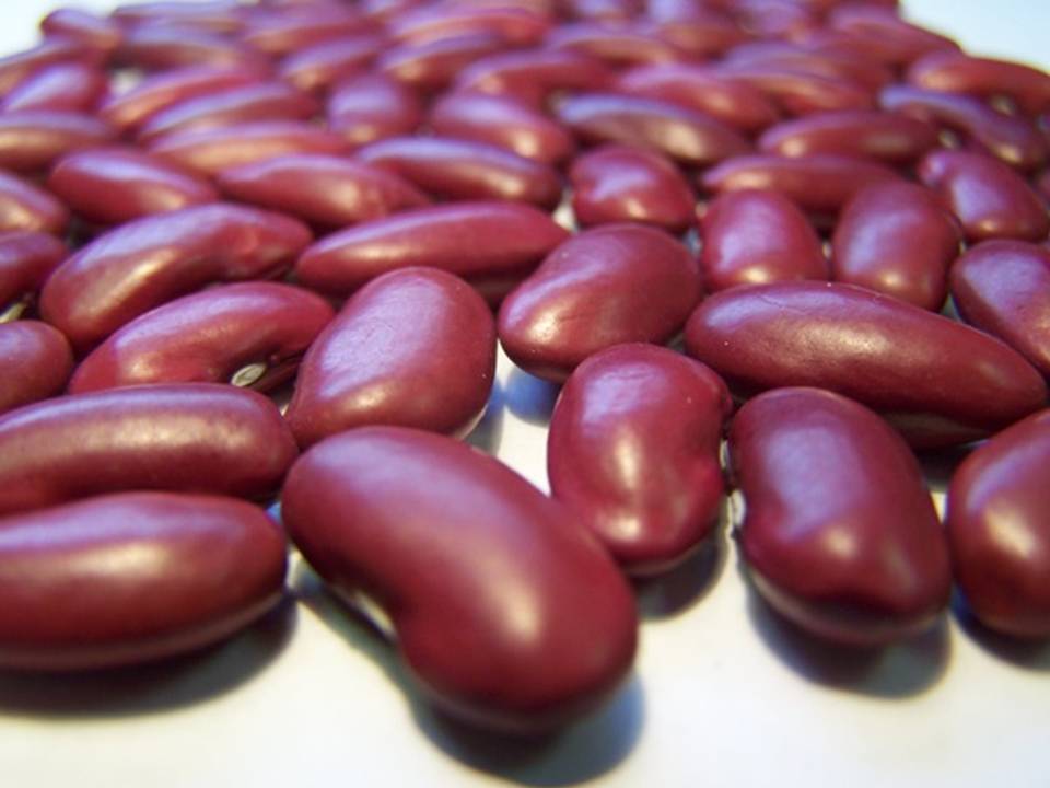 beans-rkb