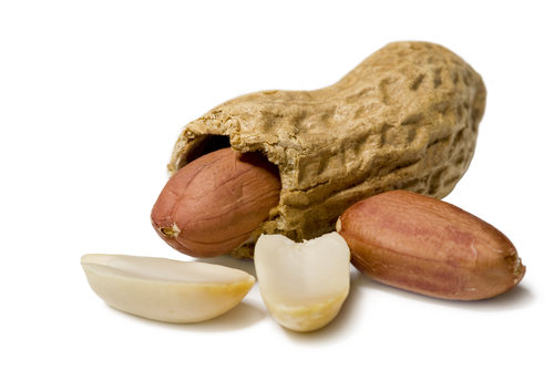 oil-seeds-peanut